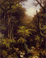 Heade, Martin Johnson - Brazilian Forest